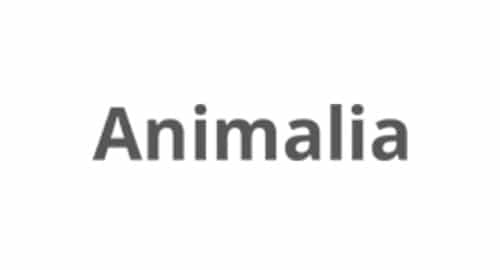 Schaden bei Animalia Tierversicherung melden